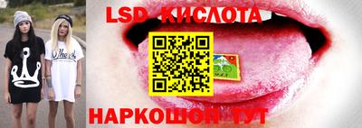 стаф Можайск