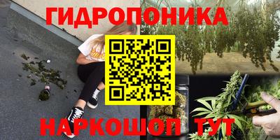 МДМА Можга