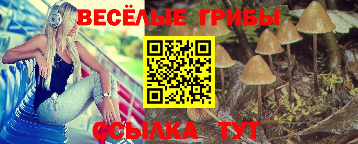 Шадринск  Псилоцибиновые грибы Cubensis  Вход с VPN 